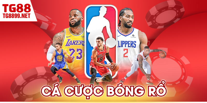 Cá Cược Bóng Rổ | Bí Quyết Soi Kèo Bất Bại Năm 2026