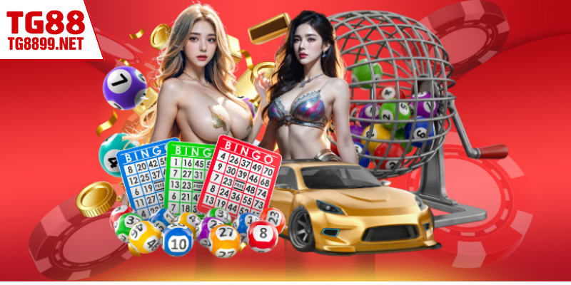 Chỉ dẫn cá cược lô tô trực tuyến đơn giản