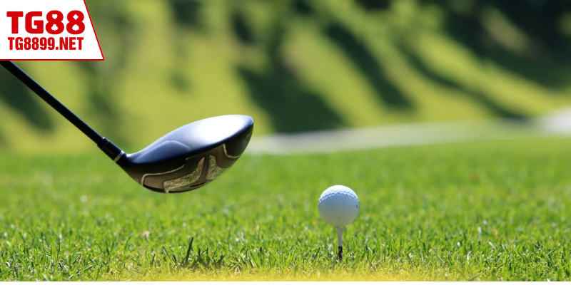 Điểm mạnh của cá cược Golf TG88